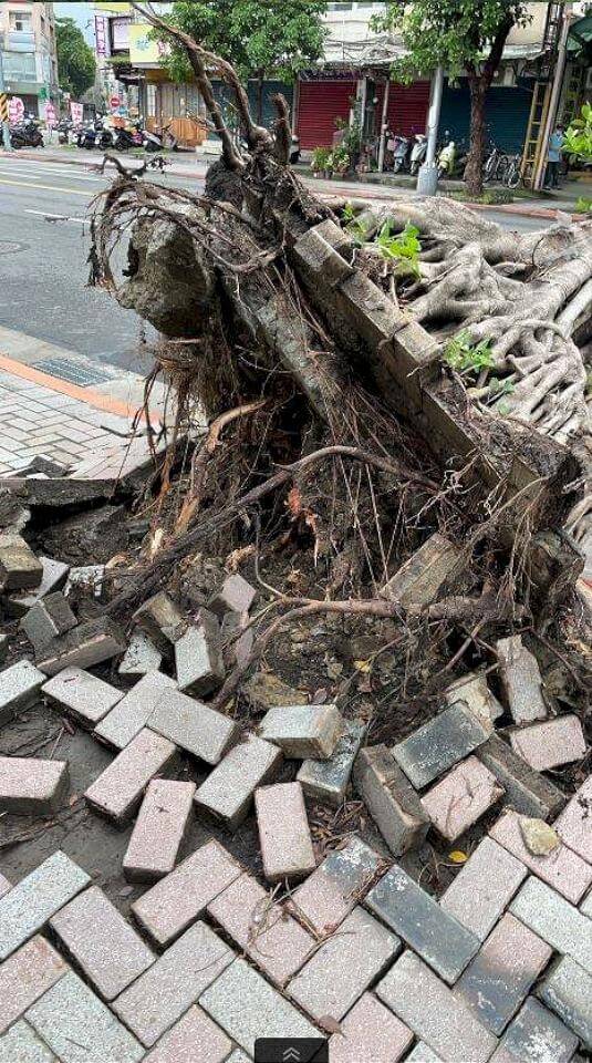 超前新聞網 卡努來襲颳強風間歇大雨 雙北陸續傳出零星災情