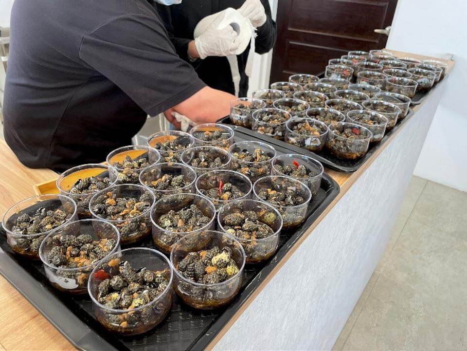 北海岸漁村限定海味 燒酒螺鮮味衝擊味蕾